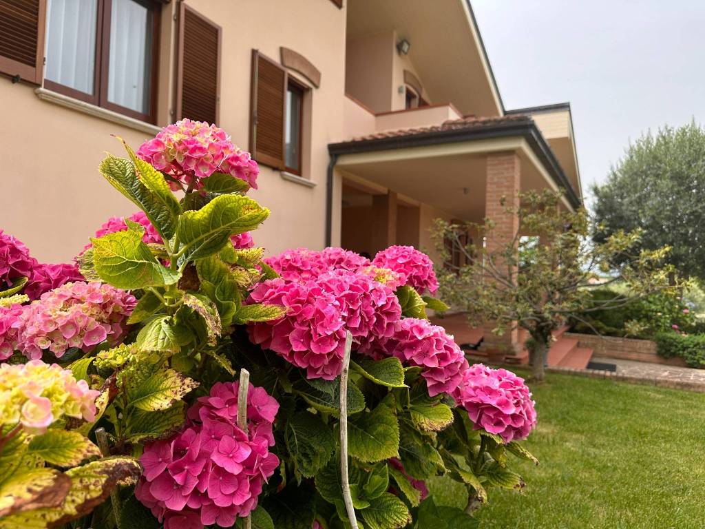 Villa a Giulianova in Via Sette Fratelli, 11 - Foto 3
