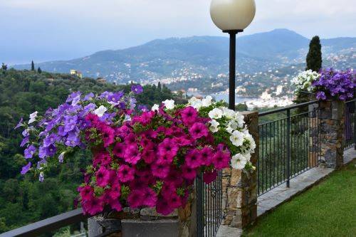 Villa a Zoagli in Via Cornice Sant'Ambrogio, 77 - Foto 3