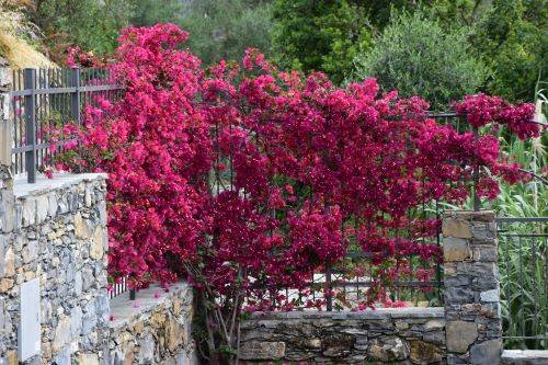 Villa a Zoagli in Via Cornice Sant'Ambrogio, 77 - Foto 4