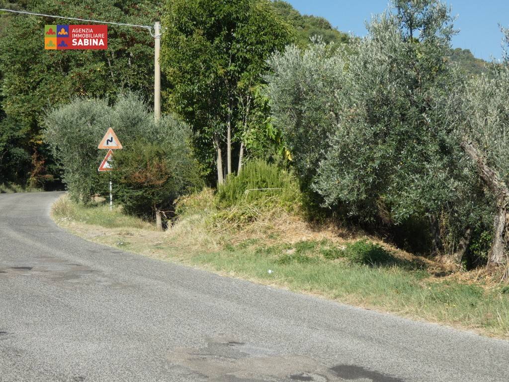 Rustico / casale a Toffia in SP41 - Foto 4