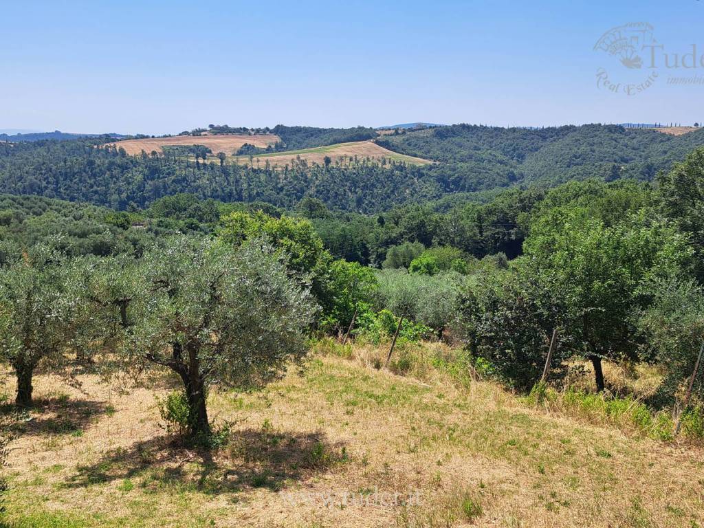 Rustico / casale a San venanzo in Vocabolo Pian di Celle - Foto 5