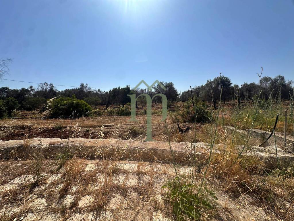 Rustico / casale a Carovigno in SS16 - Foto 3