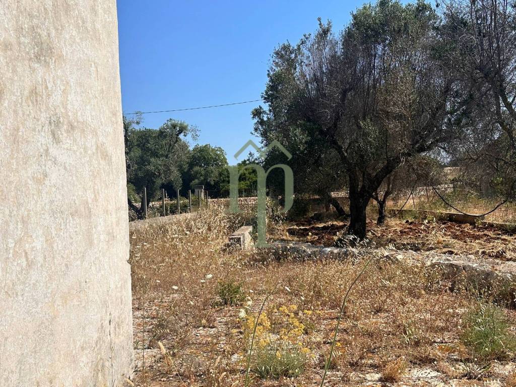 Rustico / casale a Carovigno in SS16 - Foto 4