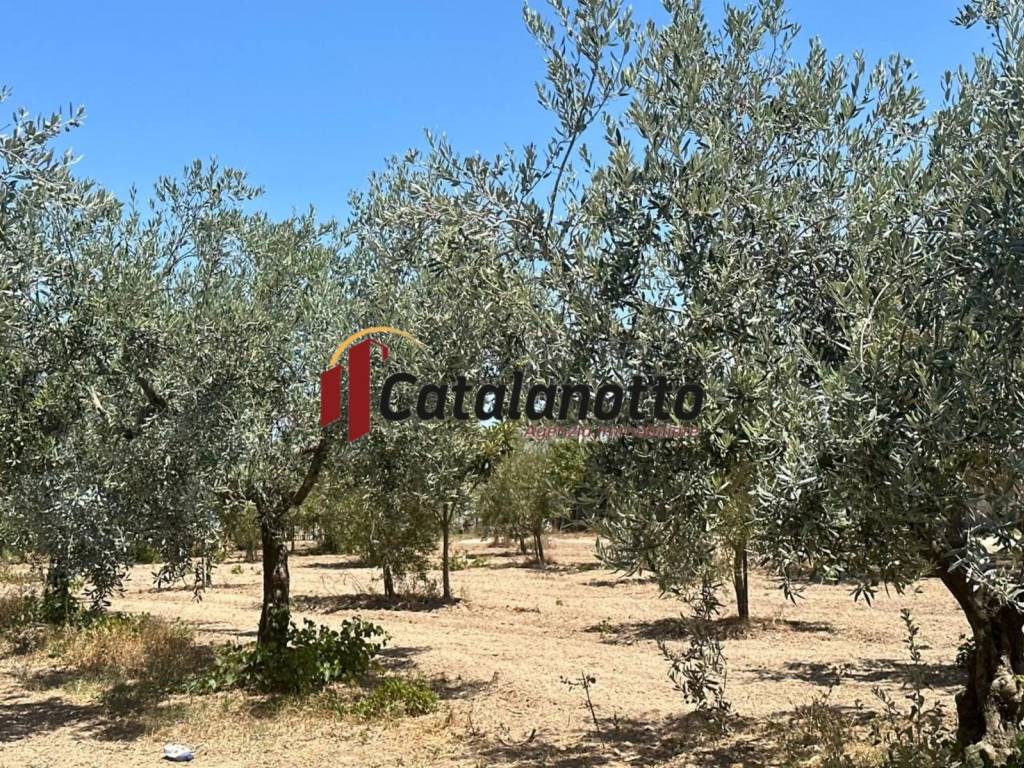 Terreno a Castelvetrano in Via Giallonghi - Foto 3