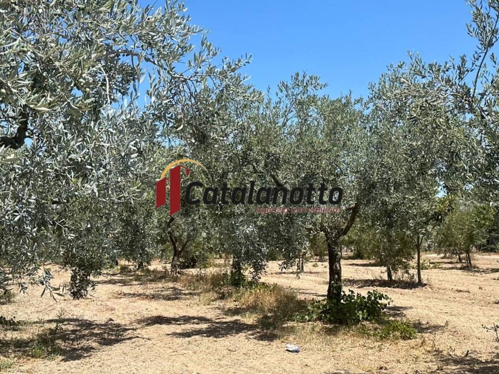 Terreno a Castelvetrano in Via Giallonghi - Foto 4