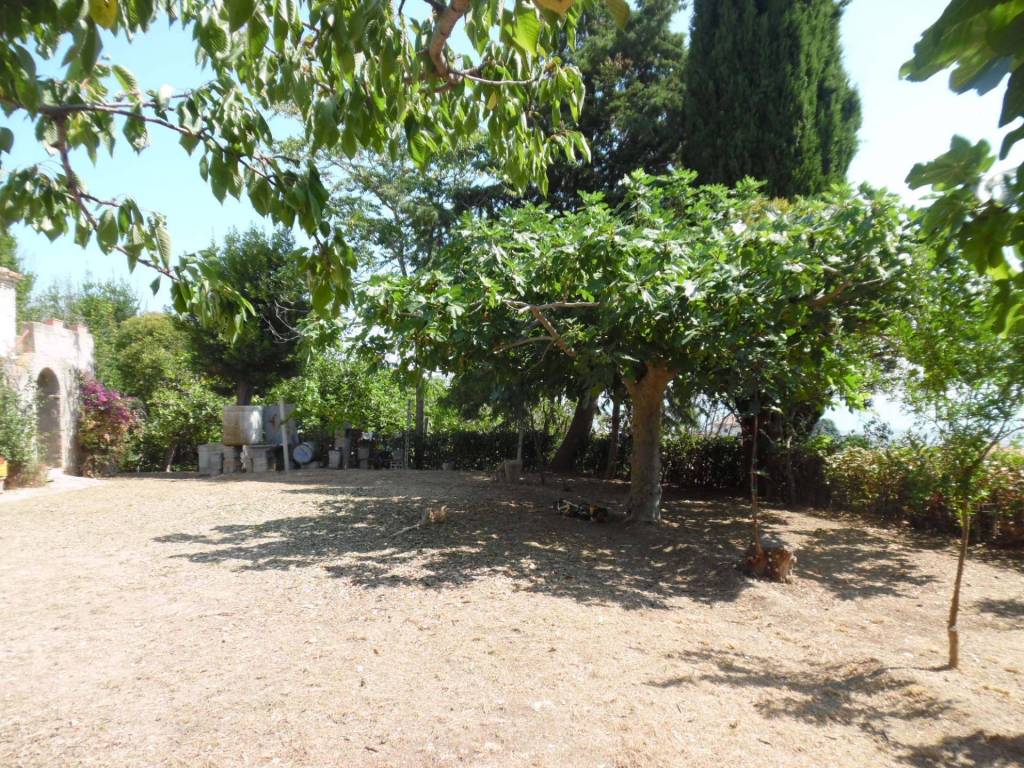 Rustico / casale a Colonnella in Contrada giardino, 24 - Foto 2