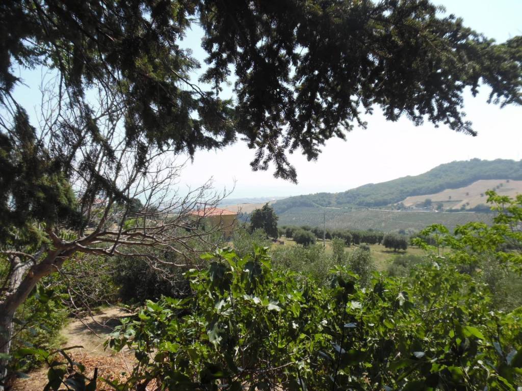 Rustico / casale a Colonnella in Contrada giardino, 24 - Foto 3