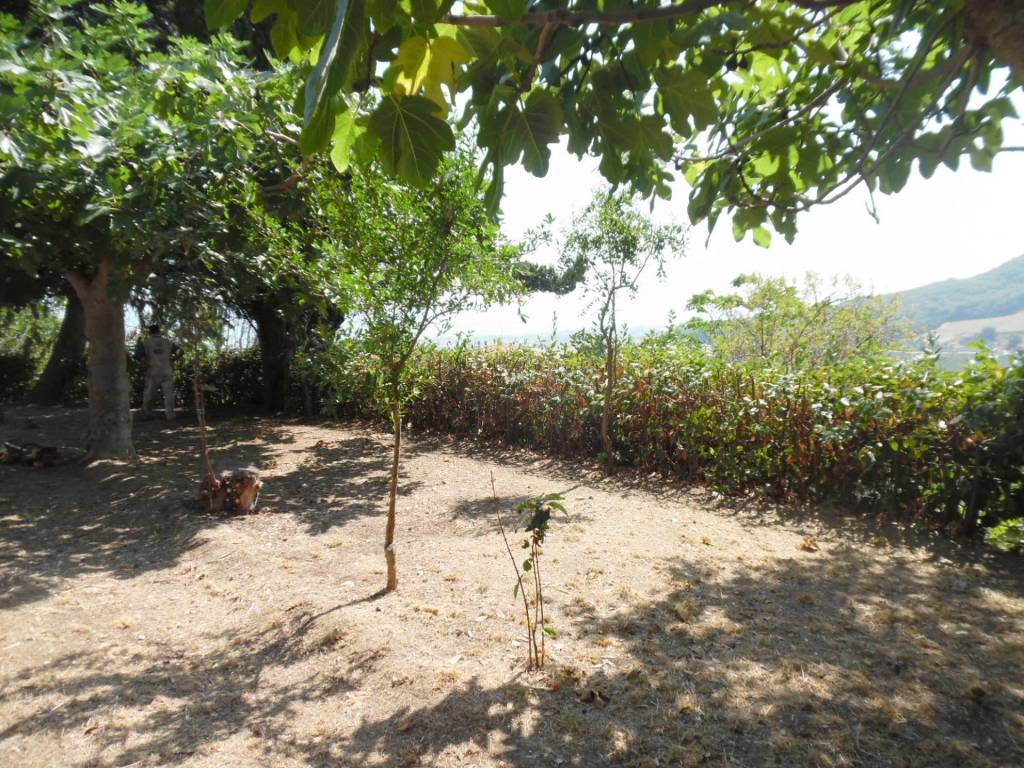 Rustico / casale a Colonnella in Contrada giardino, 24 - Foto 4