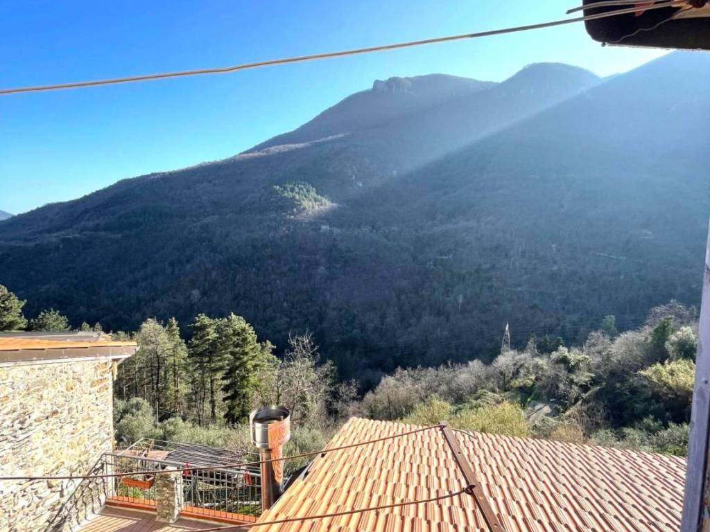 Rustico / casale a Erli in Via Berrioli - Foto 3
