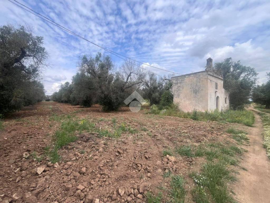 Terreno a Mesagne in CONTRADA TAGLIATA - Foto 3