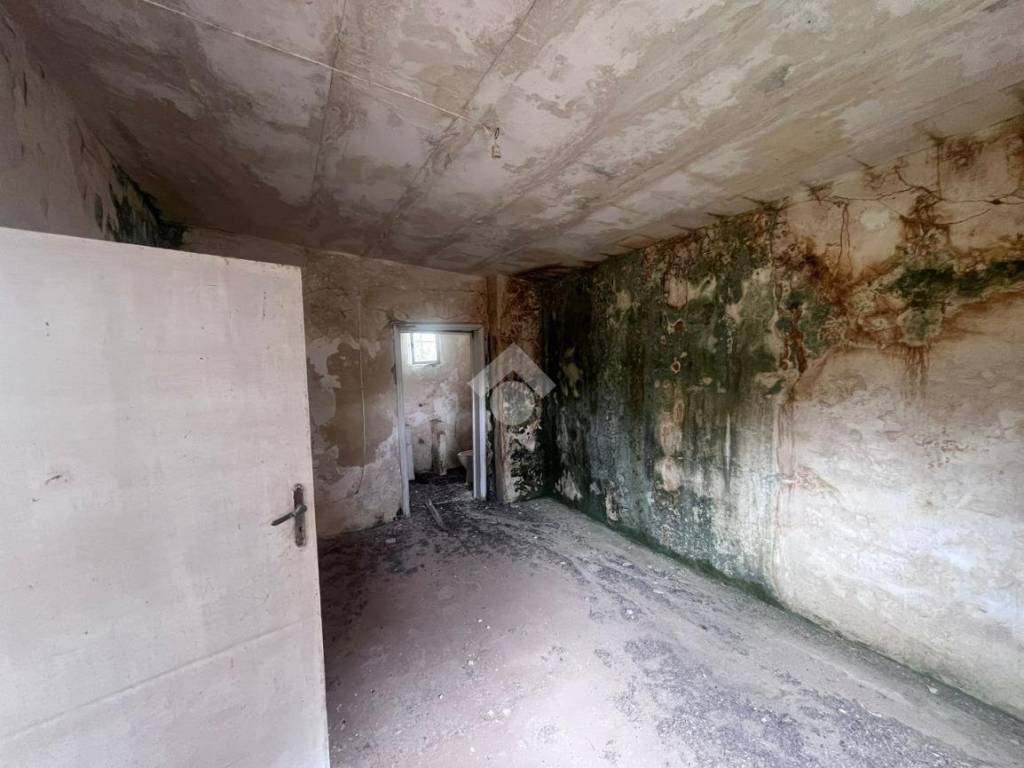 Terreno a Mesagne in CONTRADA TAGLIATA - Foto 4