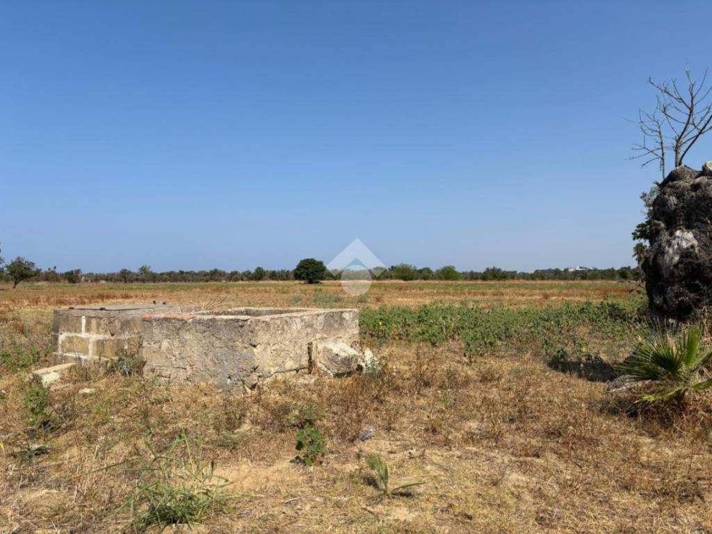 Terreno a Alezio in Contrada Arpa - Foto 2