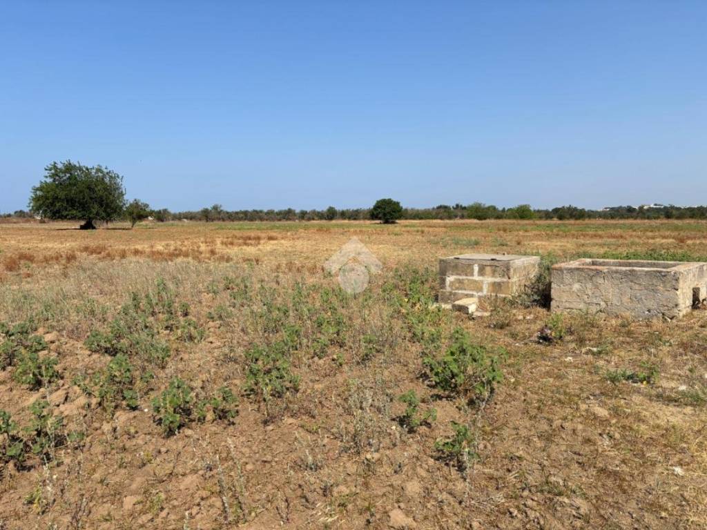 Terreno a Alezio in Contrada Arpa - Foto 4