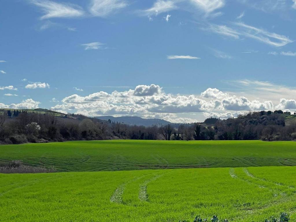 Rustico / casale a Montalcino in Strada Provinciale di Pieve a Salti - Foto 2