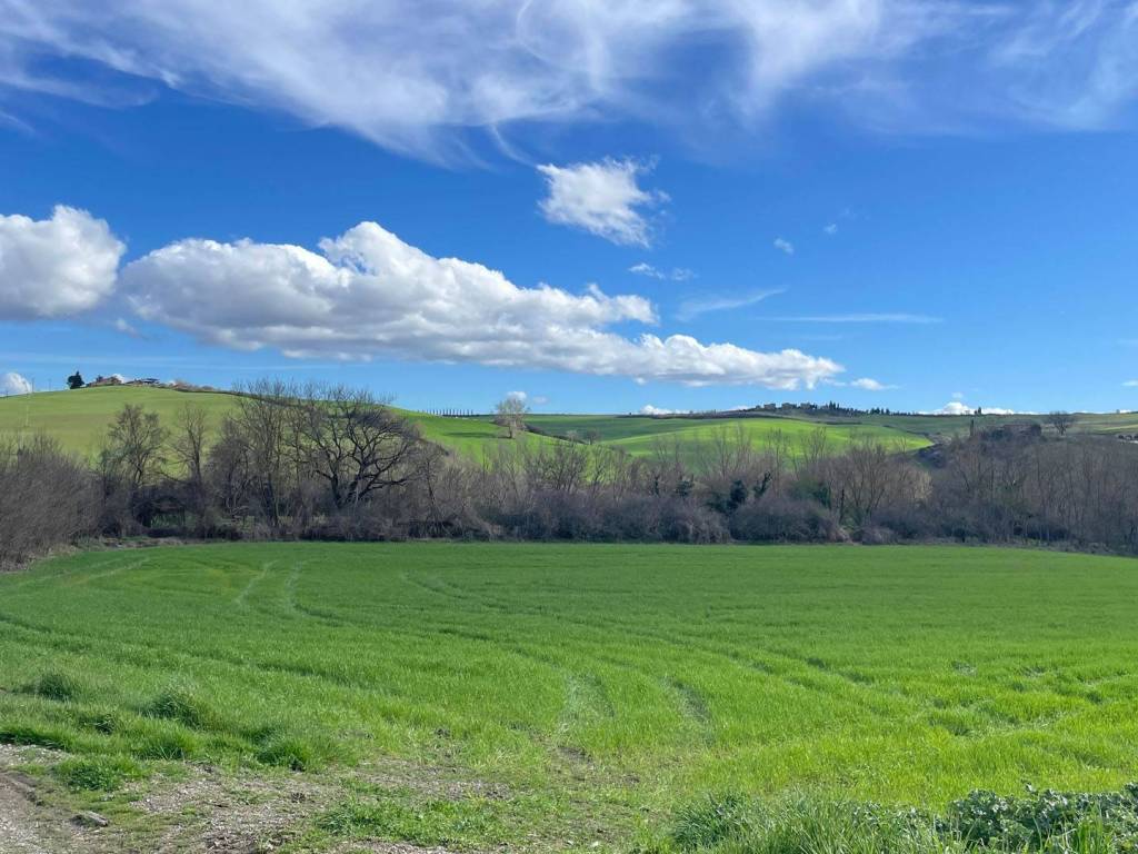 Rustico / casale a Montalcino in Strada Provinciale di Pieve a Salti - Foto 3