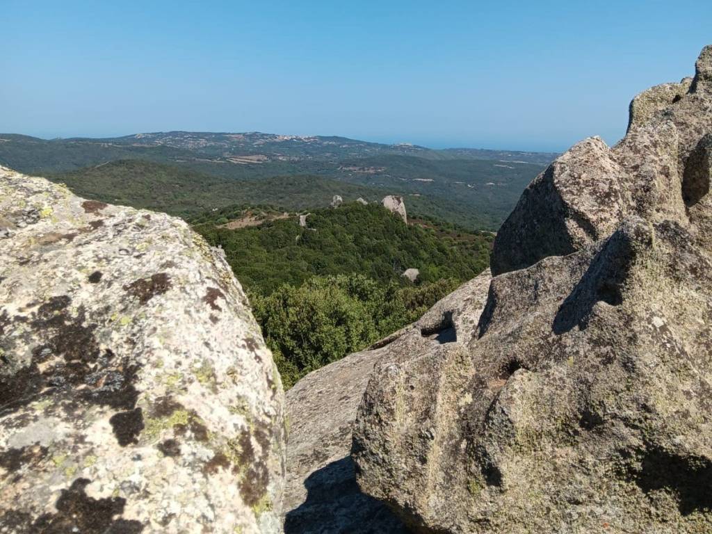 Rustico / casale a Luogosanto - Foto 3