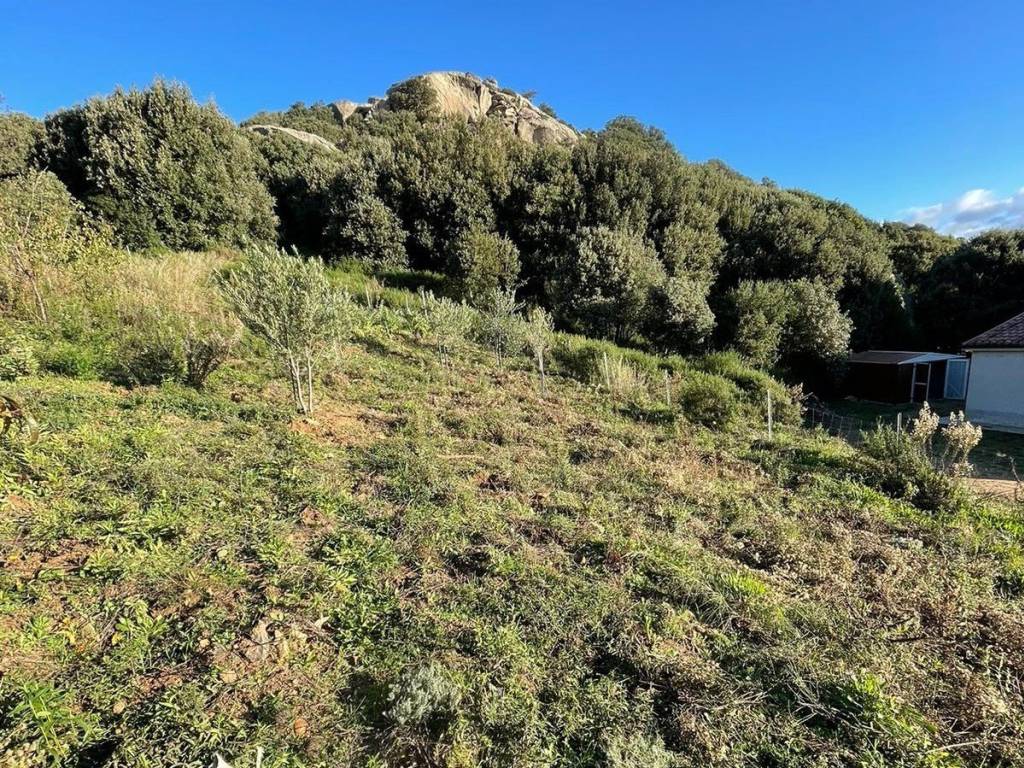 Rustico / casale a Luogosanto - Foto 4