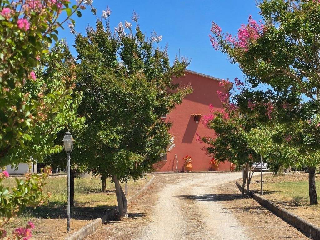 Rustico / casale a Montecchio in Strada Bonifica, 150 - Foto 2
