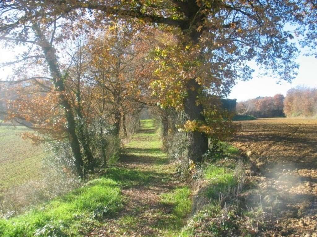 Rustico / casale a Lucignano - Foto 3