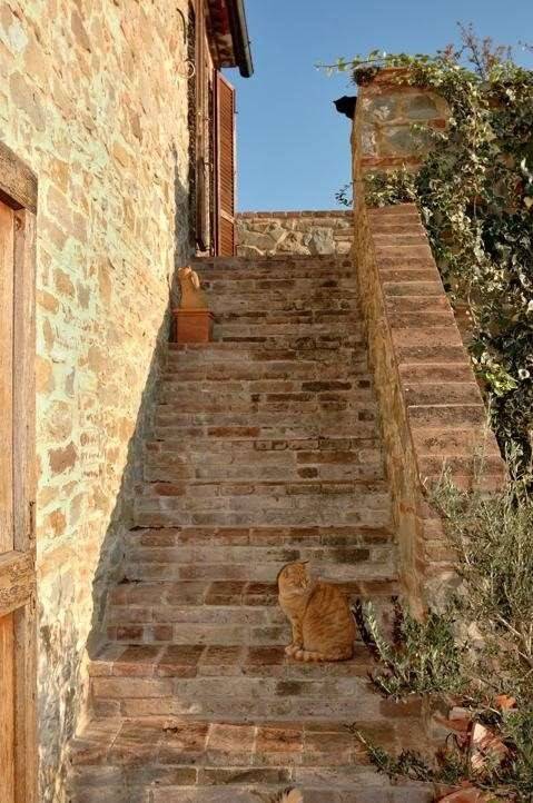 Rustico / casale a Cortona - Foto 3