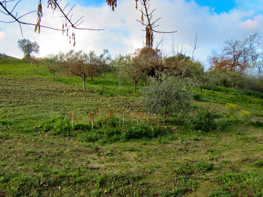 Rustico / casale a Atri in Via Fonte Canale - Foto 5