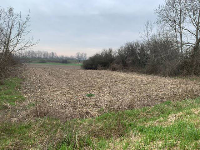 Terreno a Castellazzo bormida in Via Baudolino Mussa - Foto 4