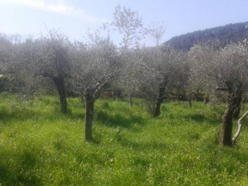 Villa a Sarzana in Via dei Molini - Foto 2