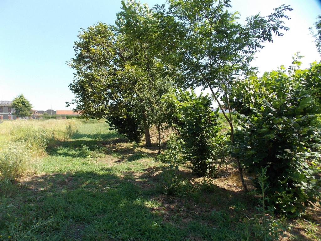 Rustico / casale a Noale - Foto 5