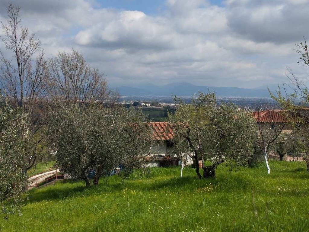 Rustico / casale a Quarrata - Foto 3