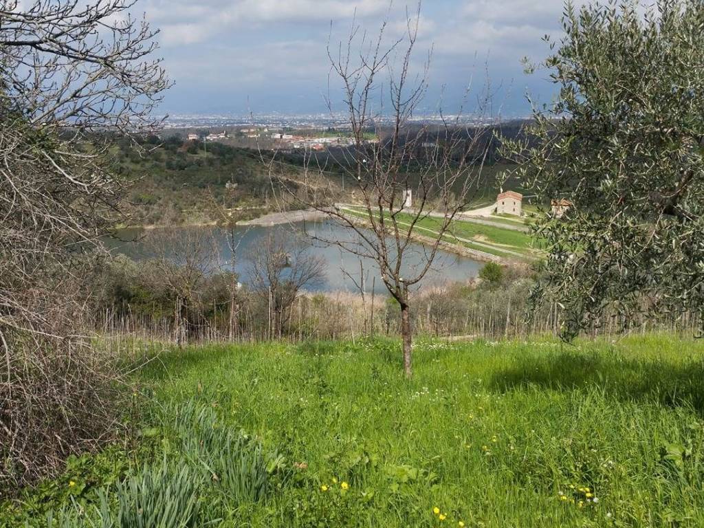 Rustico / casale a Quarrata - Foto 4