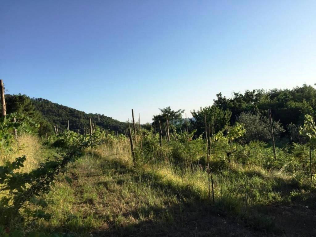 Appartamento a Castelnuovo magra in Caprignano s.n.c - Foto 2