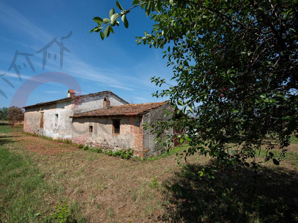 Terreno a Gavorrano - Foto 2