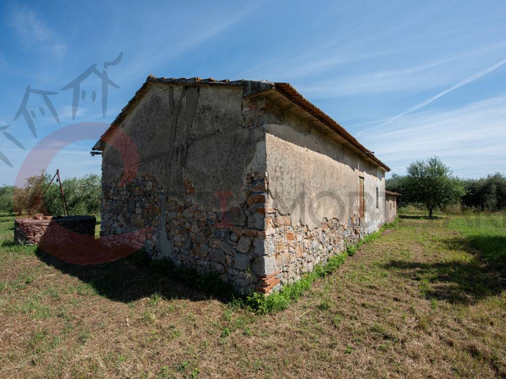 Terreno a Gavorrano - Foto 3