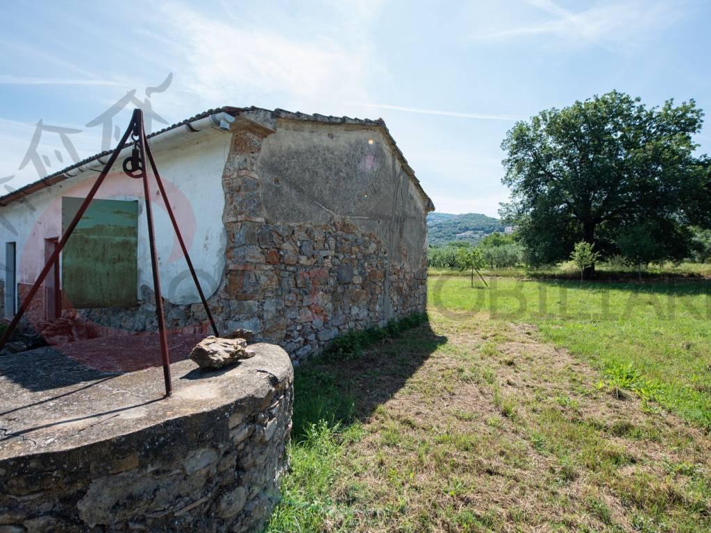 Terreno a Gavorrano - Foto 4