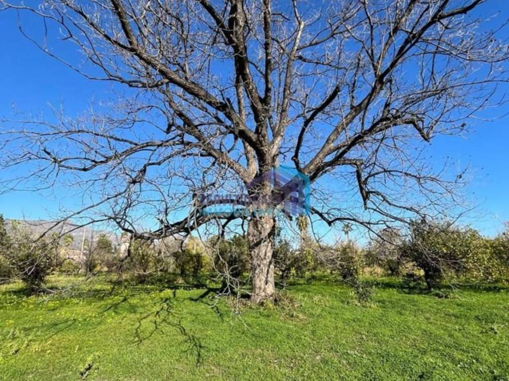 Rustico / casale a Giardini-naxos - Foto 5