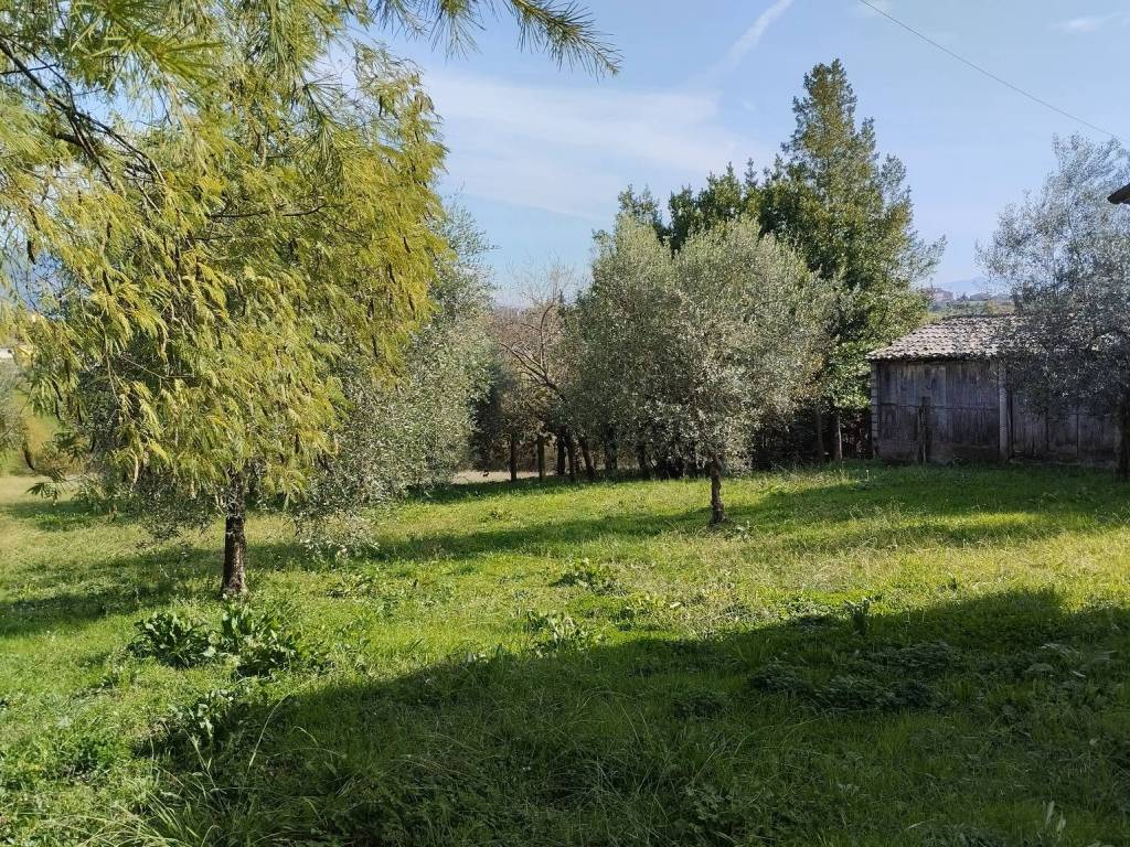 Rustico / casale a Arce in Frassi - Foto 5