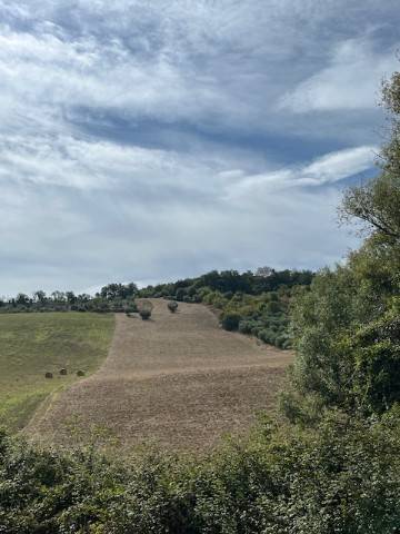 Terreno a Altidona in Contrada Cantagallo - Foto 2