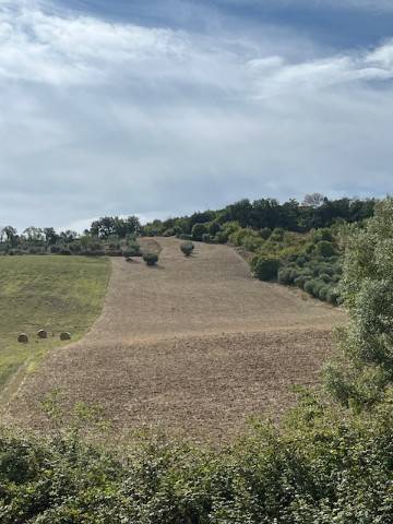Terreno a Altidona in Contrada Cantagallo - Foto 3