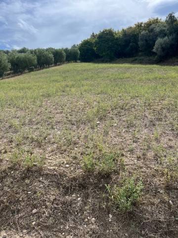 Terreno a Altidona in Contrada Cantagallo - Foto 4