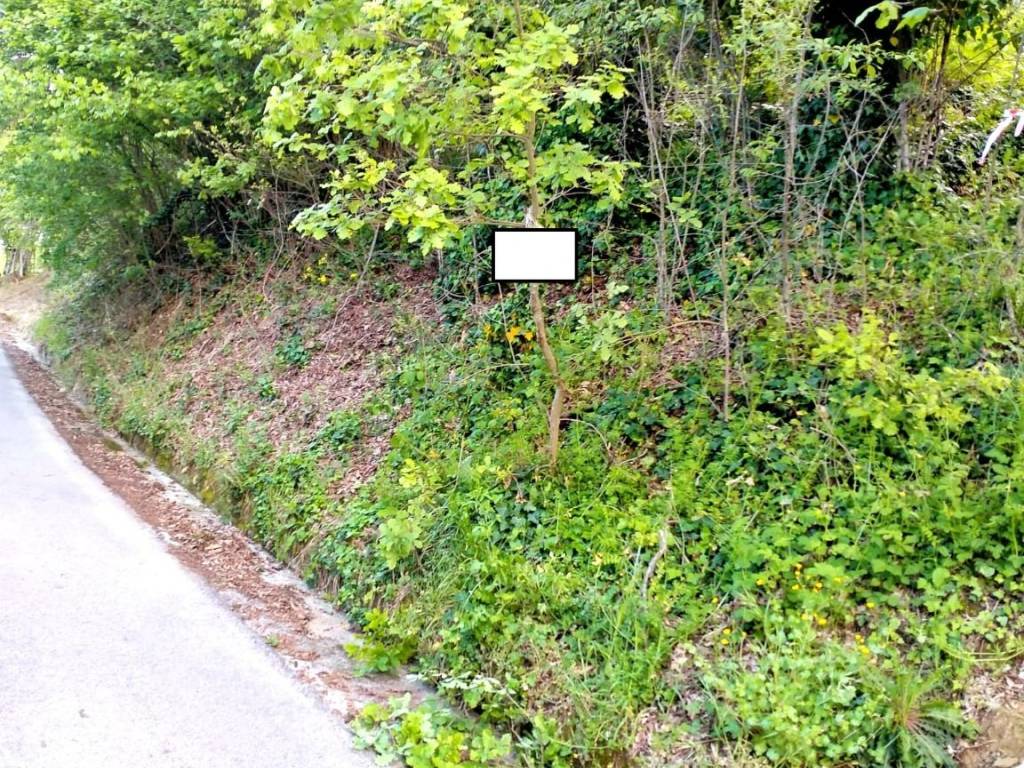 Terreno a Aiello del sabato in Contrada Coste - Foto 2