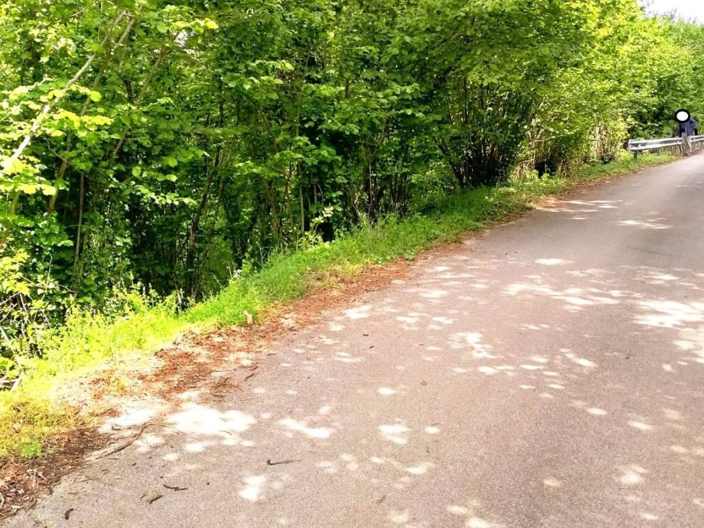 Terreno a Aiello del sabato in Contrada Coste - Foto 3