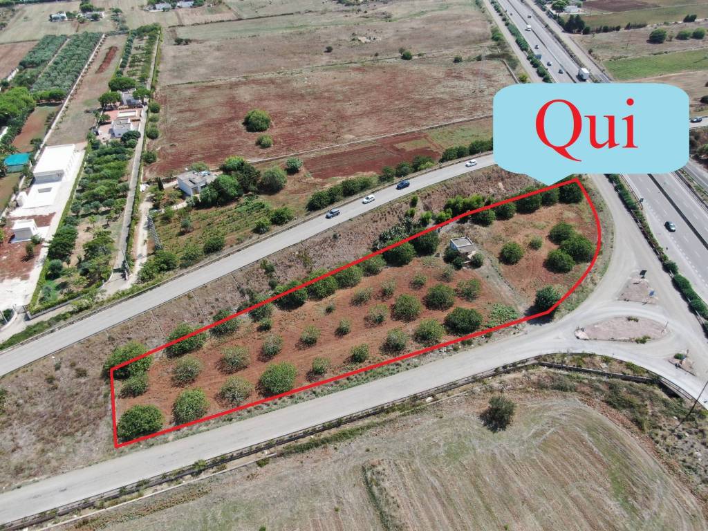 Rustico / casale a Carovigno in SP35 - Foto 3