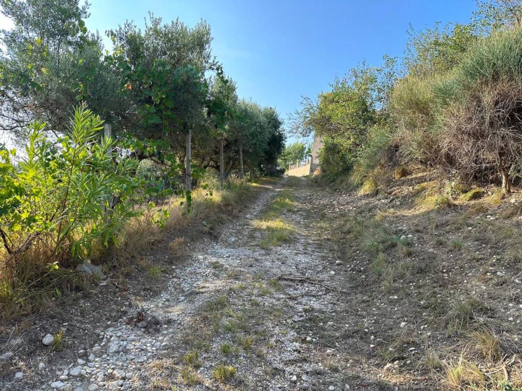 Rustico / casale a Atri in Via Colle della Giustizia - Foto 4