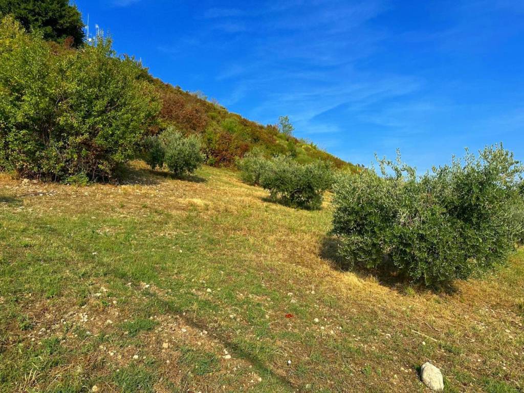 Rustico / casale a Atri in Via Colle della Giustizia - Foto 5