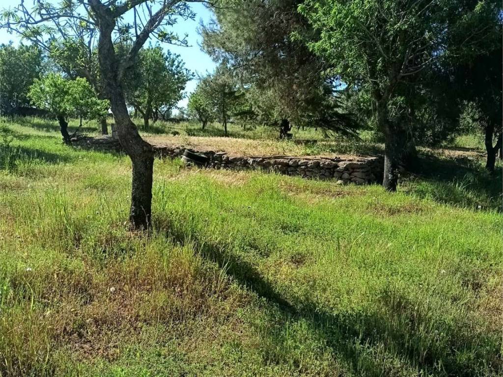 Terreno a Carovigno - Foto 4