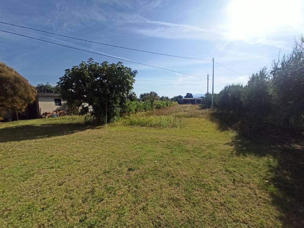 Terreno a Castiglione del lago in Località Carraia - Foto 2