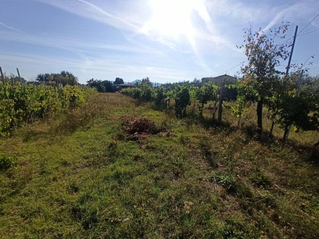 Terreno a Castiglione del lago in Località Carraia - Foto 3