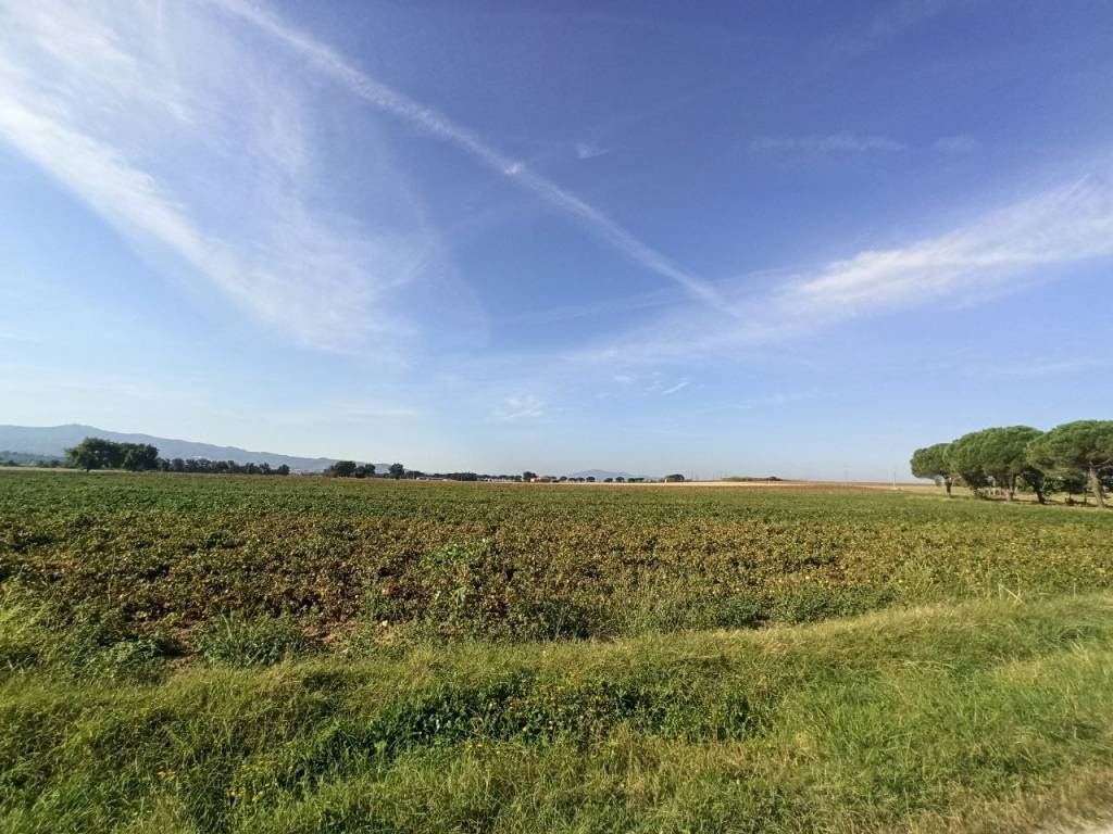 Terreno a Castiglione del lago in Località Carraia - Foto 4
