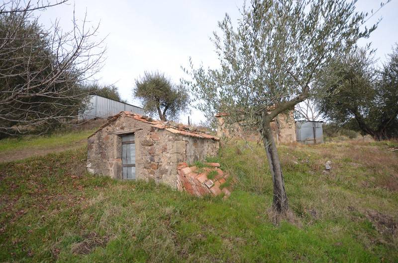 Terreno a Castel del piano in Via dell'Ospedale - Foto 3