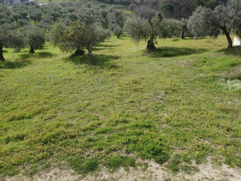 Rustico / casale a Pescara in Strada Colle Renazzo S.N.C. - Foto 2